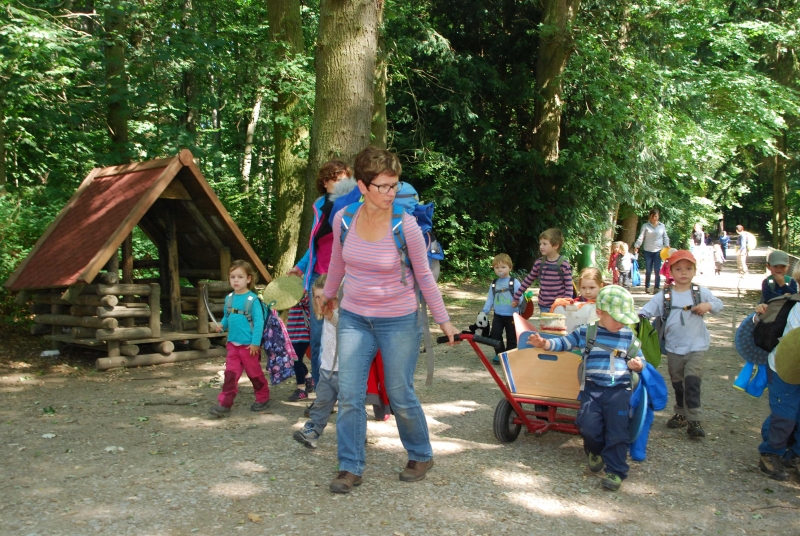 Wandern im Wald ist im Sommer besonders schön